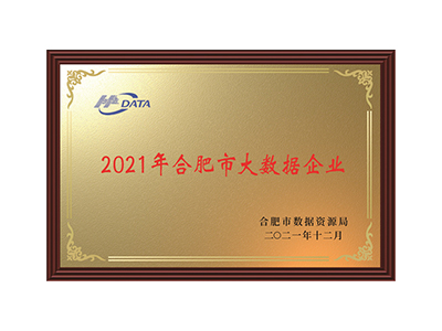 مؤسسة Hefei Big Data في عام 2021